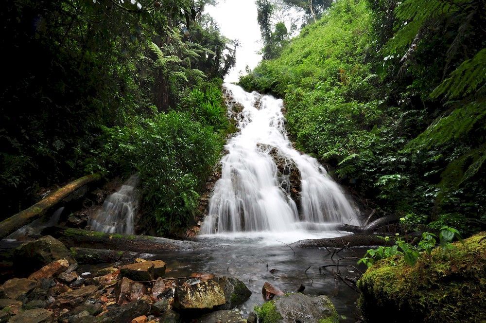 Sanctuary Gorilla Forest Camp Hotel Ntungamo  Exterior photo