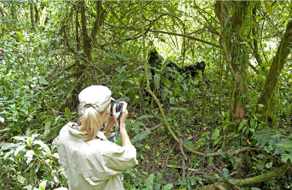 Sanctuary Gorilla Forest Camp Hotel Ntungamo  Exterior photo